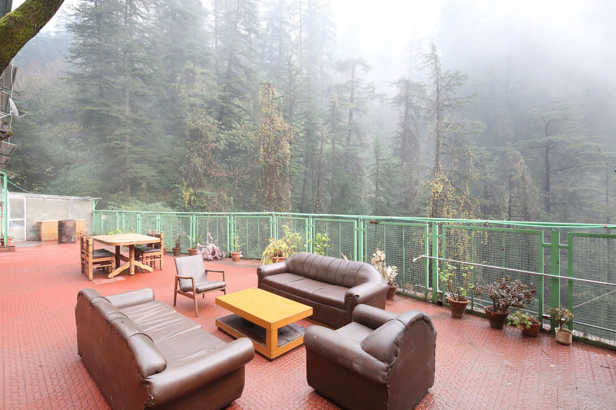 Oyo Home 10904 Sunny Woods Cabin Khalini Shimla Exterior photo